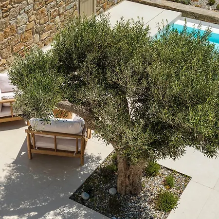 Venti Private Pool Retreat, Mykonos